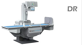 DR dynamic panel